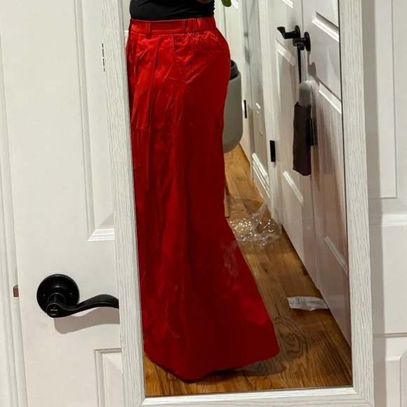 Gray Wide Leg Pants with Pleated Front - Picture 14 of 15